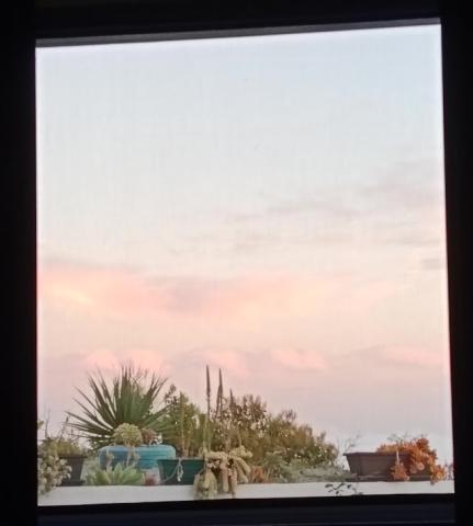 VENTANA